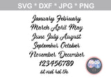 The Birthday Girl, (All Months/Days Included), bday saying, digital download, SVG, DXF, cut file, personal, commercial, use with Silhouette, Cricut and Die Cutting Machines