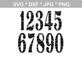 Sassy, Classy and Fabulous with (all numbers included), digital download, SVG, DXF, cut file, personal, commercial, use with Silhouette Cameo, Cricut and Die Cutting Machines