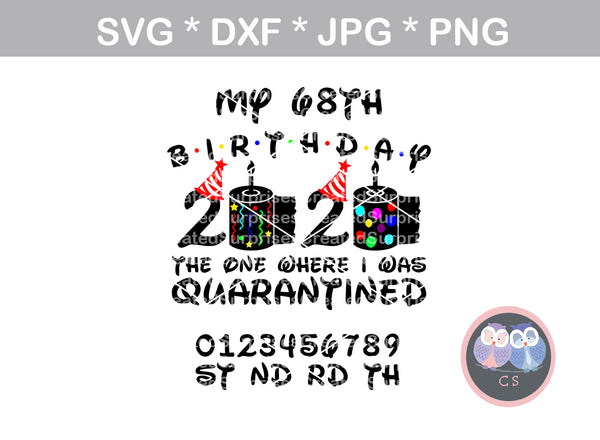 Birthday, the one where I was quarantined, balloons, changable age, confetti, toilet paper, 2020, funny, digital download, SVG, DXF, cut file, personal, commercial, use with Silhouette Cameo, Cricut and Die Cutting Machines