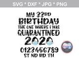 My birthday, the one where I was quarantined, mask, funny, digital download, SVG, DXF, cut file, personal, commercial, use with Silhouette Cameo, Cricut and Die Cutting Machines