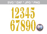 Sassy, Classy and Fabulous with (all numbers included), digital download, SVG, DXF, cut file, personal, commercial, use with Silhouette Cameo, Cricut and Die Cutting Machines