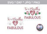 Six months of fabulous, 6 mos, Baby half birthday, diamonds, roses, 2 designs, digital download, SVG, DXF, cut file, personal, commercial, use with Silhouette Cameo, Cricut and Die Cutting Machines