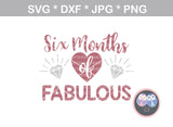 Six months of fabulous, 6 mos, Baby half birthday, diamonds, roses, 2 designs, digital download, SVG, DXF, cut file, personal, commercial, use with Silhouette Cameo, Cricut and Die Cutting Machines