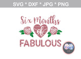 Six months of fabulous, 6 mos, Baby half birthday, diamonds, roses, 2 designs, digital download, SVG, DXF, cut file, personal, commercial, use with Silhouette Cameo, Cricut and Die Cutting Machines