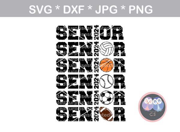 Senior 2024 baseball volleyball basketball football soccer digital download SVG DXF cut file personal commercial Silhouette Cricut