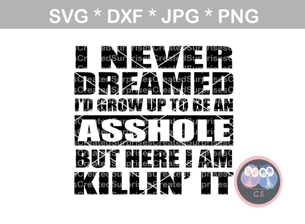 Never dreamed, grow up to be an asshole, killin it, digital download, SVG, DXF, cut file, personal, commercial, use with Silhouette, Cricut and Die Cutting Machines