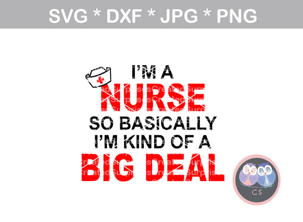 Im a Nurse, so Im kind of a Big Deal, medical, nurse, LPN, RN, digital download, SVG, DXF, cut file, personal, commercial, use with Silhouette, Cricut and Die Cutting Machines