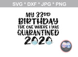 My birthday, the one where I was quarantined, mask, funny, digital download, SVG, DXF, cut file, personal, commercial, use with Silhouette Cameo, Cricut and Die Cutting Machines