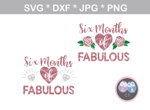 Six months of fabulous, 6 mos, Baby half birthday, diamonds, roses, 2 designs, digital download, SVG, DXF, cut file, personal, commercial, use with Silhouette Cameo, Cricut and Die Cutting Machines