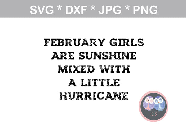 Girls, sunshine, hurricane, (All Months Included) digital download, SVG, DXF, cut file, personal, commercial, use with Silhouette Cameo, Cricut and Die Cutting Machines
